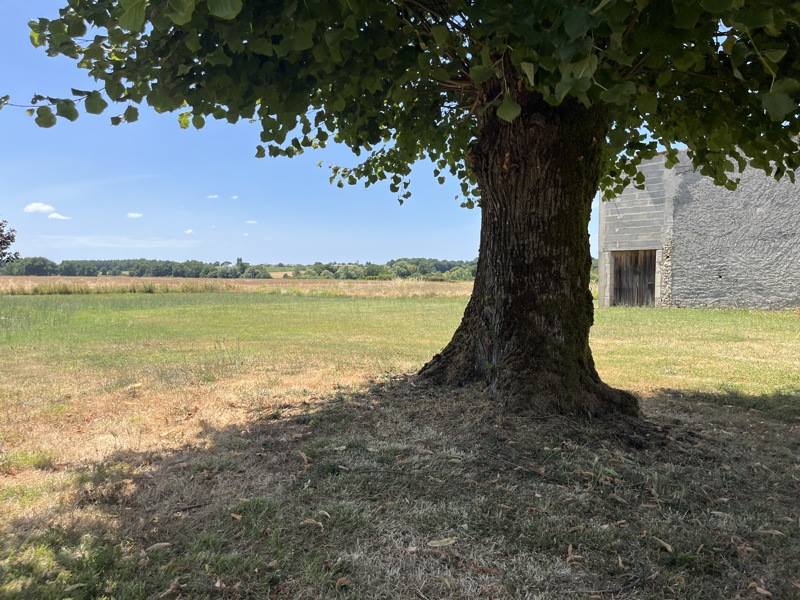 Vente Terrain MONTENDRE - -1822 m² - (17130)