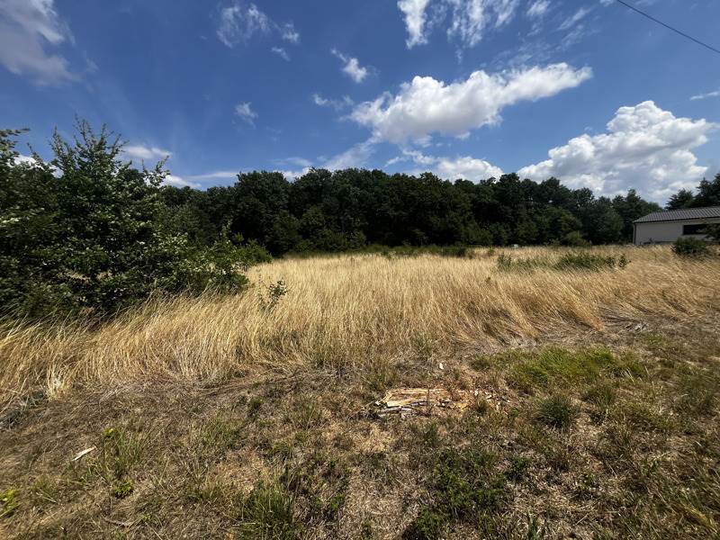 Vente Terrain CHAUNAC - -12447 m² - (17130)