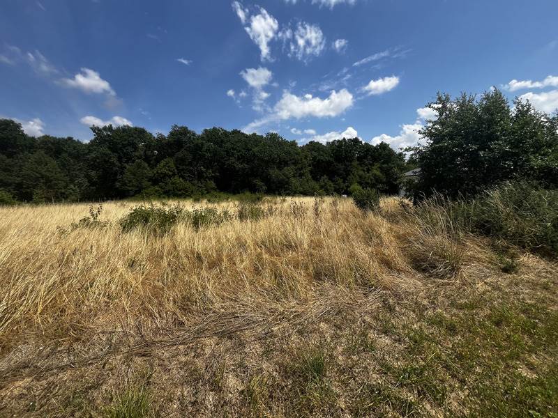 Vente Terrain CHAUNAC - -12447 m² - (17130)