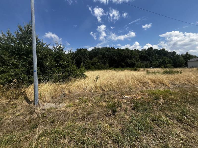 Vente Terrain CHAUNAC - -12447 m² - (17130)