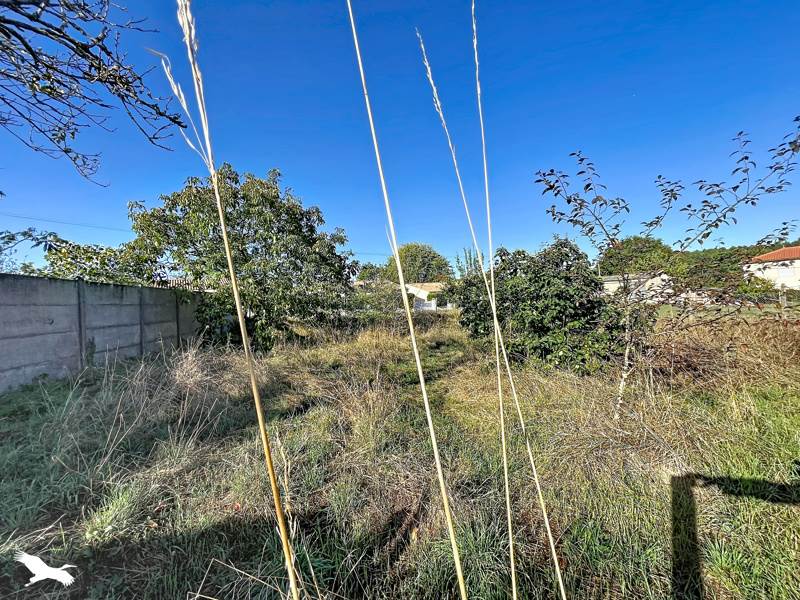 Vente Terrain Montendre - -454 m² - (17130)