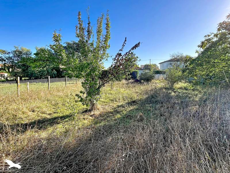 Vente Terrain Montendre - -454 m² - (17130)