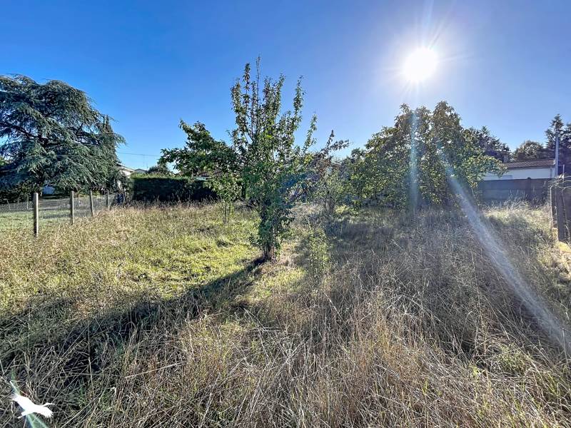Vente Terrain Montendre - -454 m² - (17130)