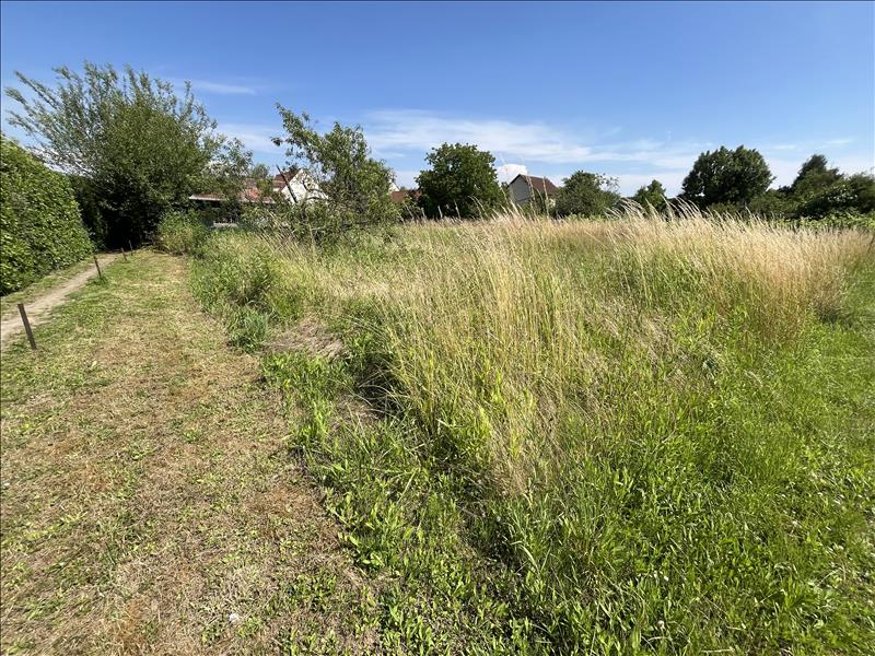 Vente Terrain AUVERS SUR OISE - -445 m² - (95430)