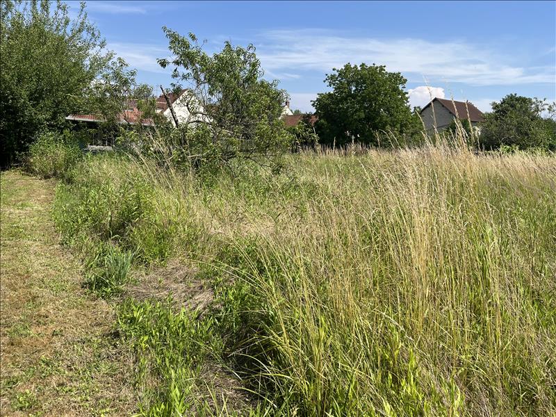 Vente Terrain AUVERS SUR OISE - -445 m² - (95430)