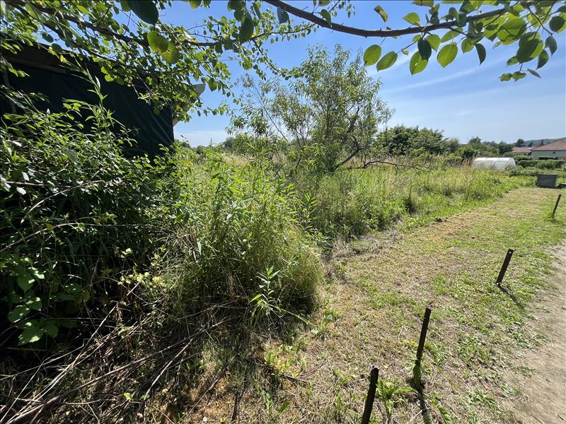 Vente Terrain AUVERS SUR OISE - -445 m² - (95430)