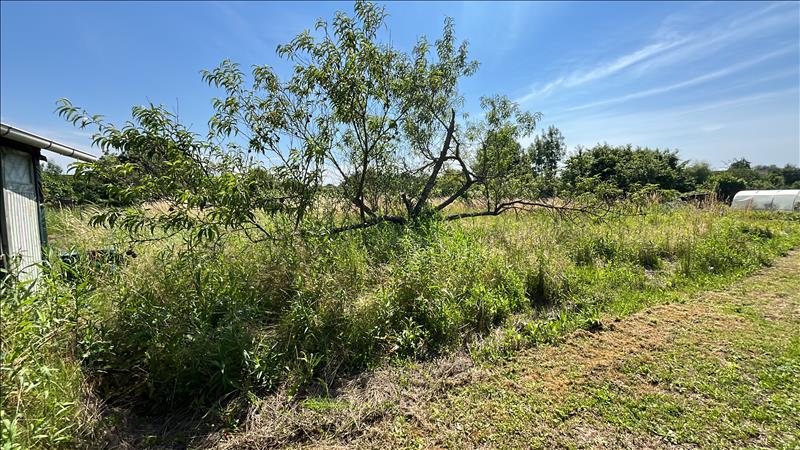 Vente Terrain AUVERS SUR OISE - -445 m² - (95430)