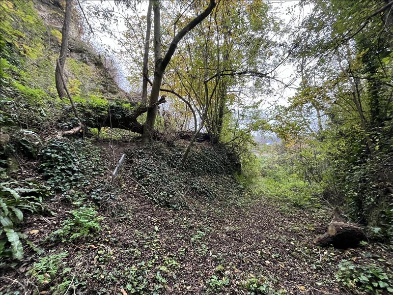Vente Maison AUVERS SUR OISE - - - (95430)