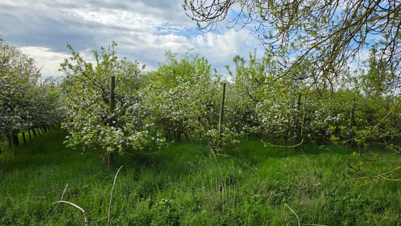 Vente Terrain AUVERS SUR OISE - -19520 m² - (95430)
