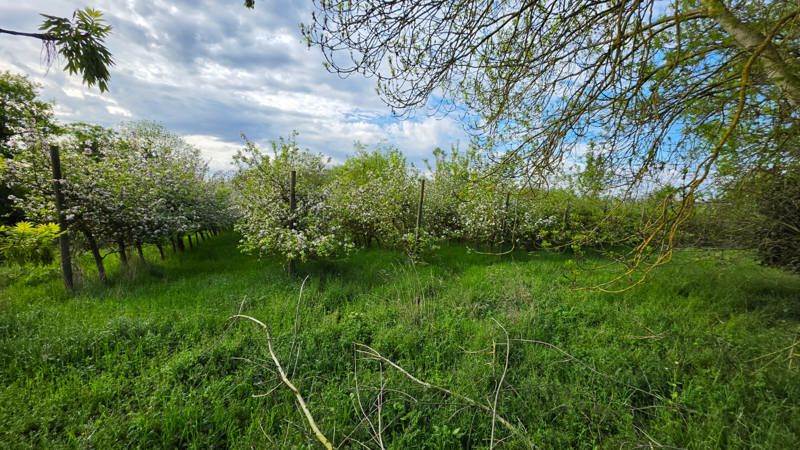 Vente Terrain AUVERS SUR OISE - -19520 m² - (95430)