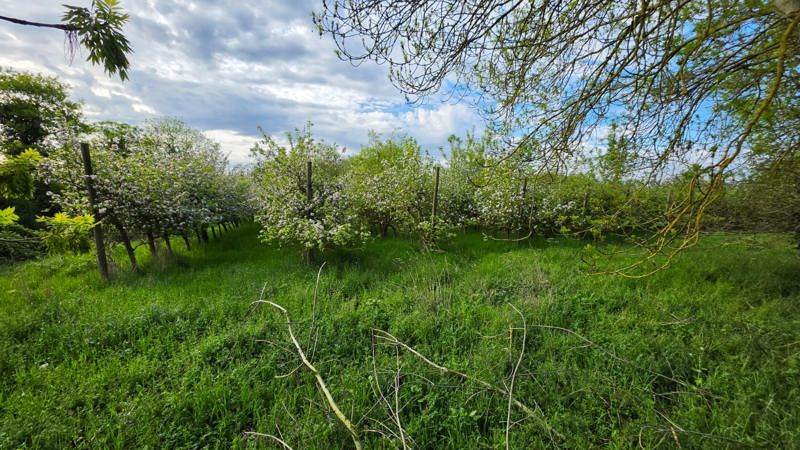 Vente Terrain AUVERS SUR OISE - -19520 m² - (95430)