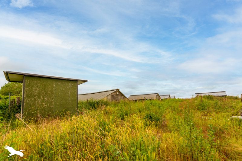 Vente Terrain AUVERS SUR OISE - -26448 m² - (95430)
