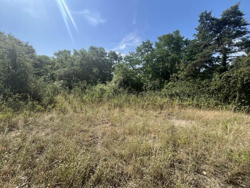 Vente Terrain AUVERS SUR OISE - -1965 m² - (95430)