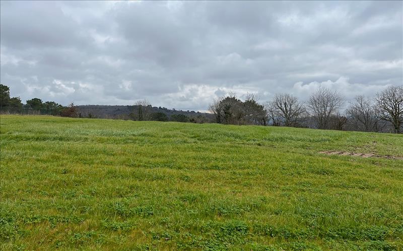 Vente Terrain LE LARDIN ST LAZARE - -1600 m² - (24570)