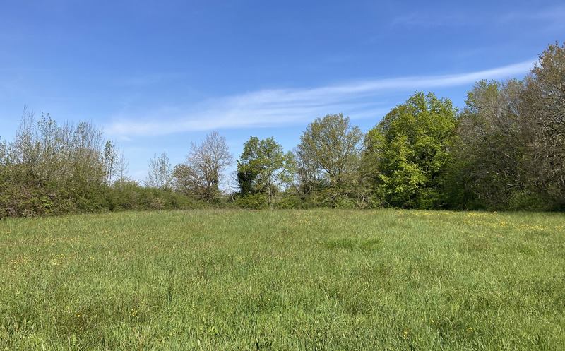 Vente Terrain HAUTEFORT - -4618 m² - (24390)