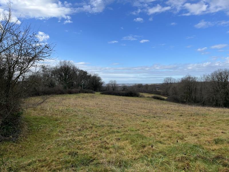 Vente Terrain CHATRES - -3250 m² - (24120)