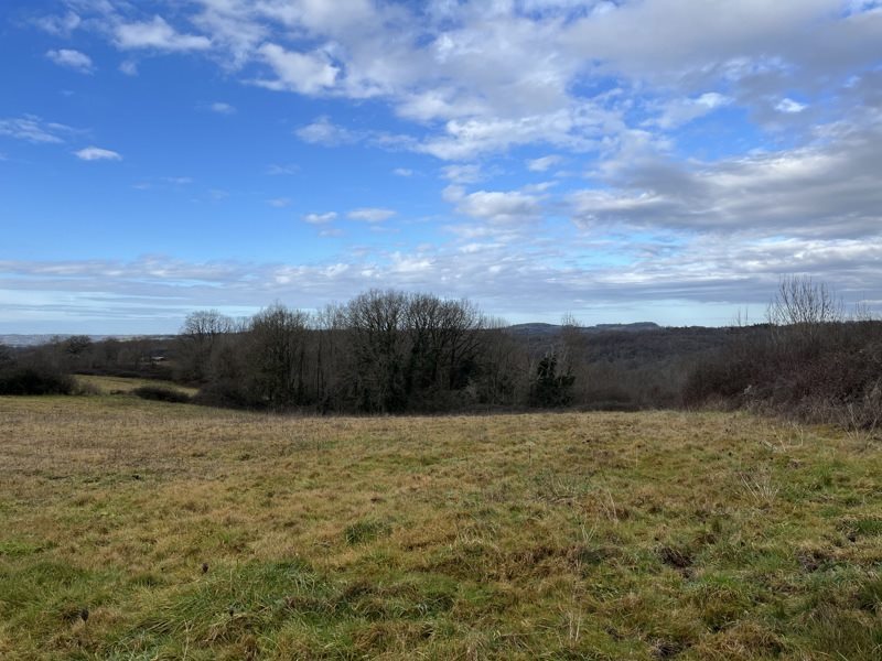 Vente Terrain CHATRES - -3250 m² - (24120)