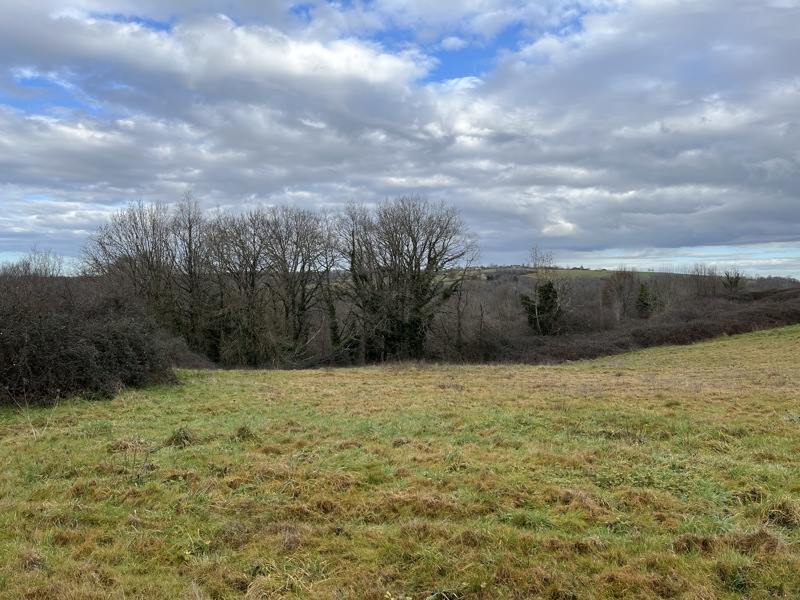 Vente Terrain CHATRES - -3350 m² - (24120)