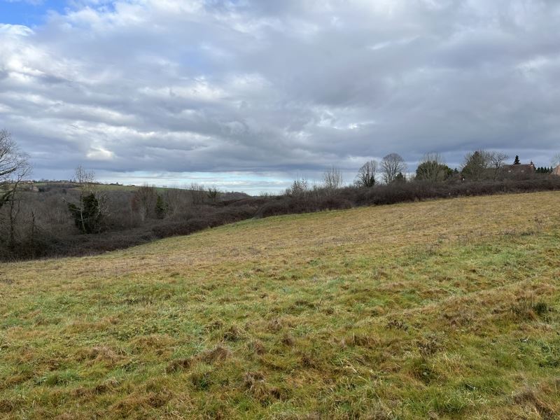 Vente Terrain CHATRES - -3350 m² - (24120)