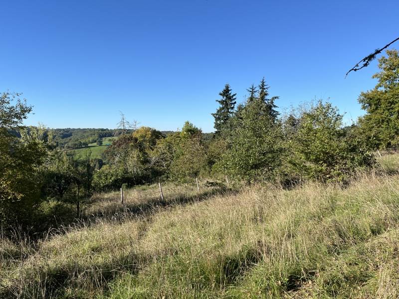 Vente Terrain THENON - -1220 m² - (24210)