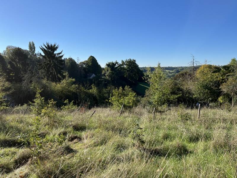 Vente Terrain THENON - -1220 m² - (24210)
