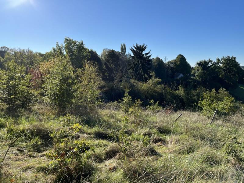 Vente Terrain THENON - -1220 m² - (24210)