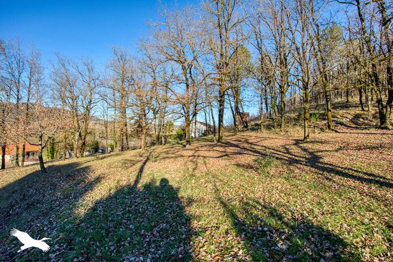 Vente Maison CONDAT SUR VEZERE - 7 pièces -222 m² - (24570)