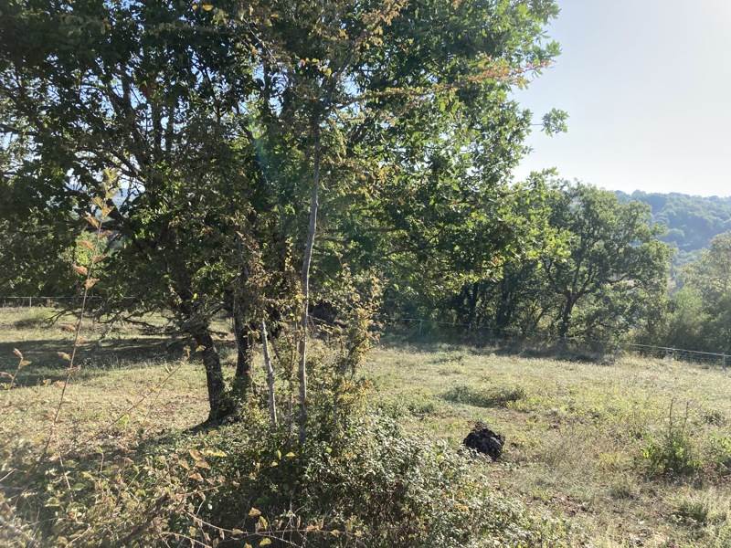 Vente Terrain LA BACHELLERIE - -1607 m² - (24210)