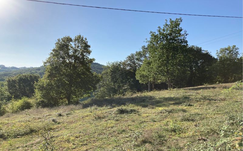Vente Terrain LA BACHELLERIE - -1569 m² - (24210)