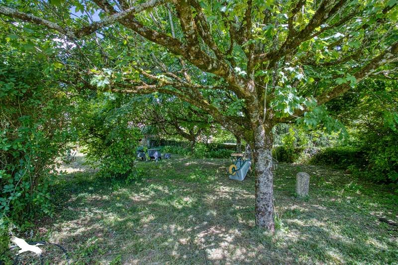 Vente Maison BADEFOLS D ANS - 7 pièces -175 m² - (24390)
