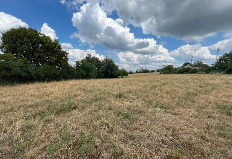 Vente Terrain NAILHAC - -5312 m² - (24390)