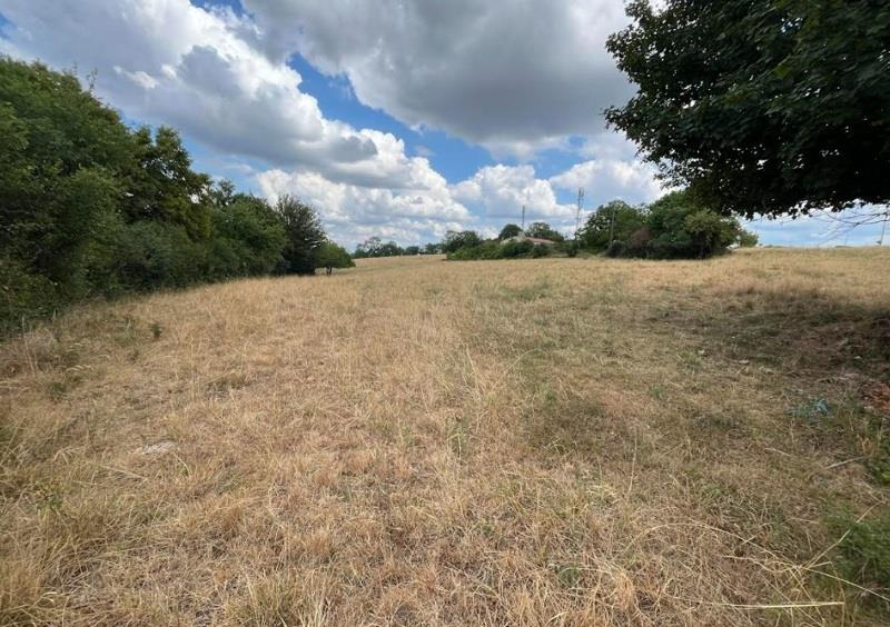 Vente Terrain NAILHAC - -5312 m² - (24390)