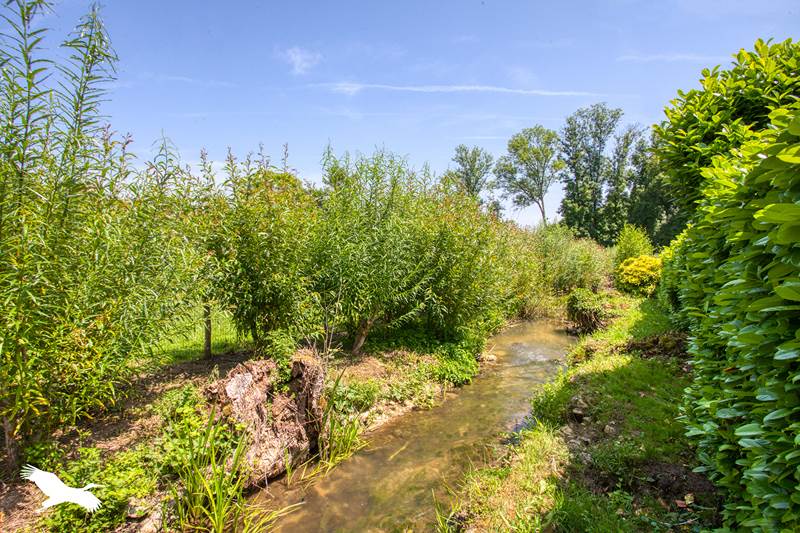Vente Maison AURIAC DU PERIGORD - 5 pièces -142 m² - (24290)