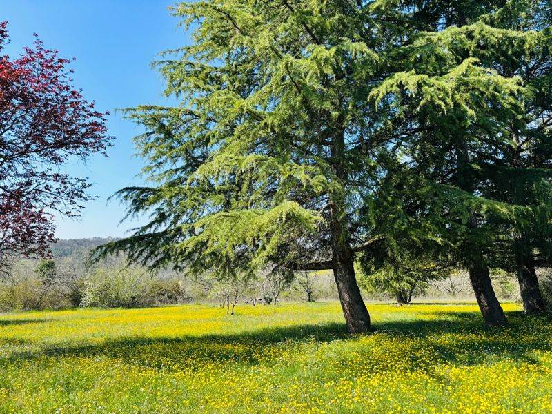 Vente Maison LES FARGES - 8 pièces -185 m² - (24290)