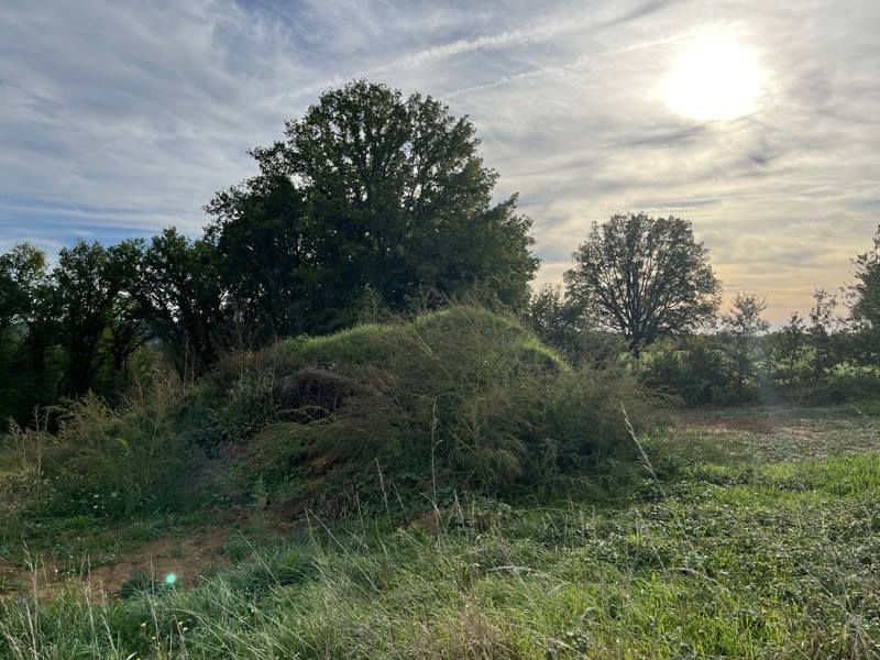Vente Terrain ST AMAND DE COLY - -1187 m² - (24290)