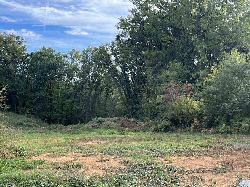 Vente Terrain ST AMAND DE COLY - -1187 m² - (24290)