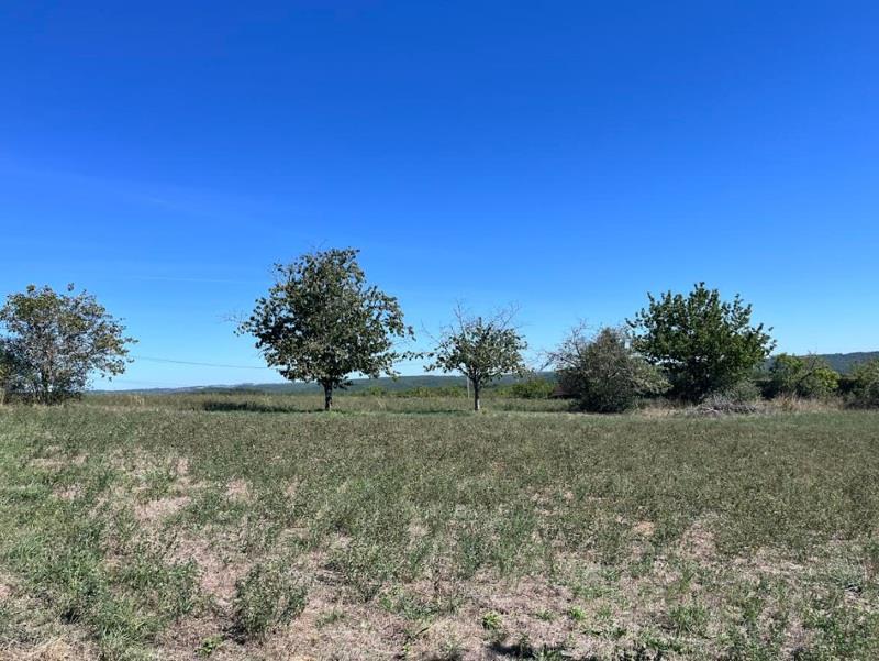 Vente Terrain LES FARGES - -2547 m² - (24290)