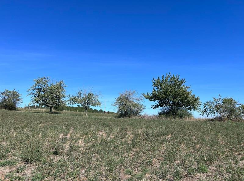 Vente Terrain LES FARGES - -2547 m² - (24290)