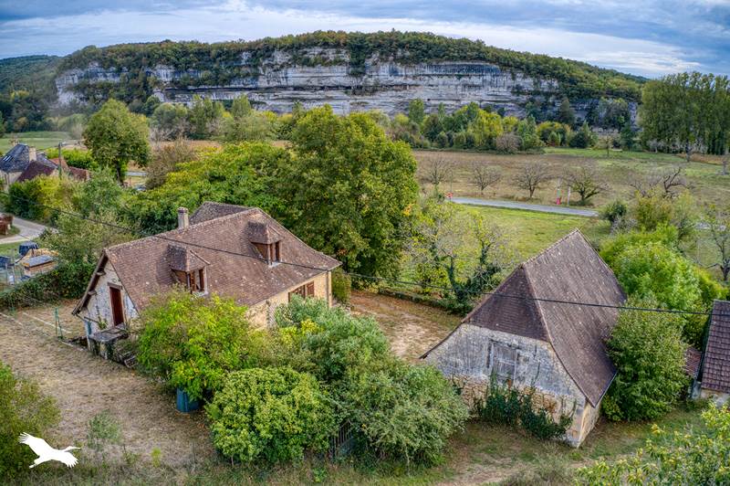 Vente Maison Peyzac-le-Moustier - 5 pièces -114 m² - (24620)