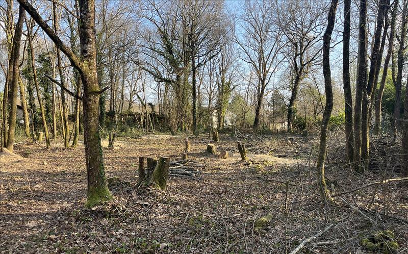 Vente Terrain LE PIAN MEDOC - -2539 m² - (33290)