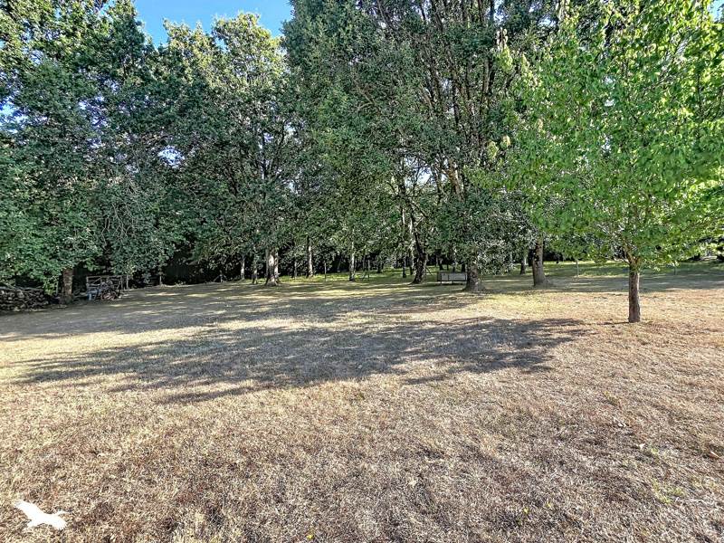 Vente Maison DOLUS D OLERON - 10 pièces -310 m² - (17550)