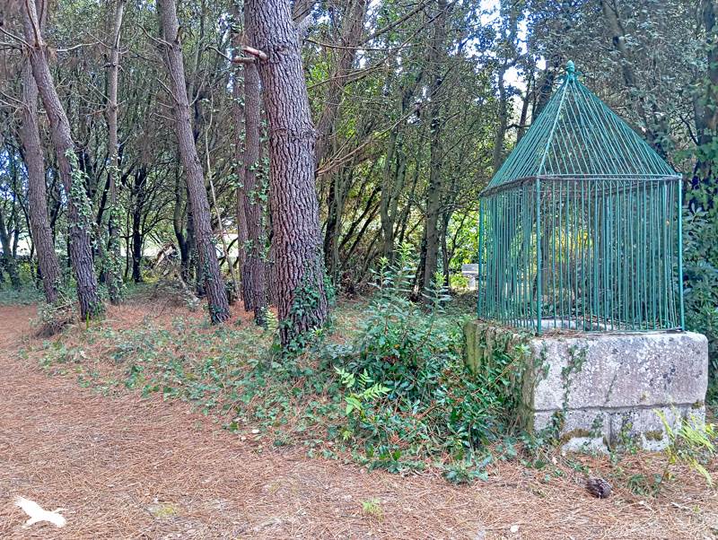 Vente Maison Dolus-d'Oléron - 4 pièces -93 m² - (17550)