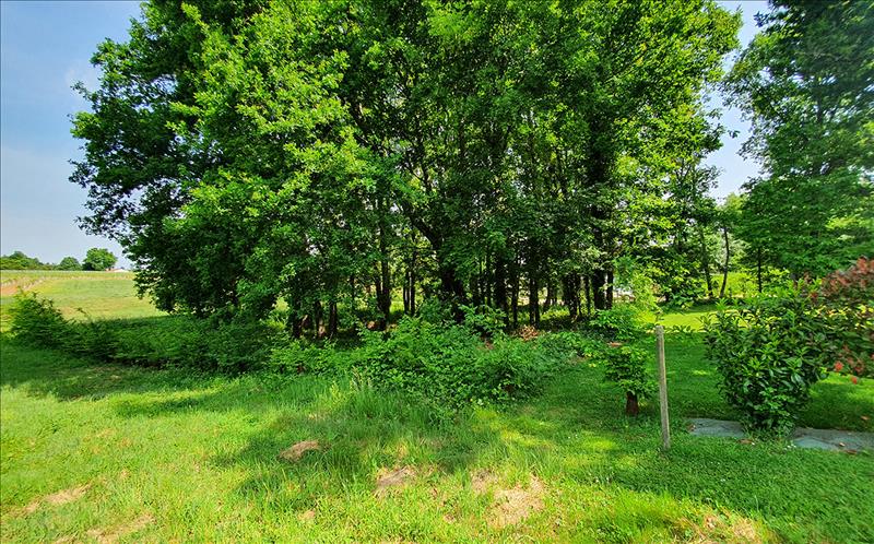 Vente Terrain JONZAC - -1811 m² - (17500)