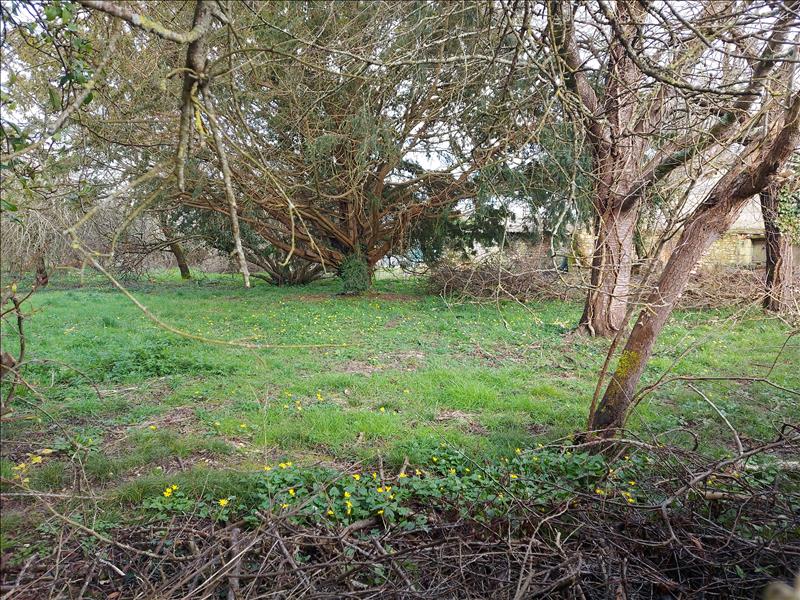 Vente Terrain ST SIMON DE BORDES - -1160 m² - (17500)