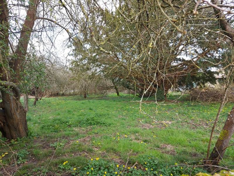 Vente Terrain ST SIMON DE BORDES - -1160 m² - (17500)