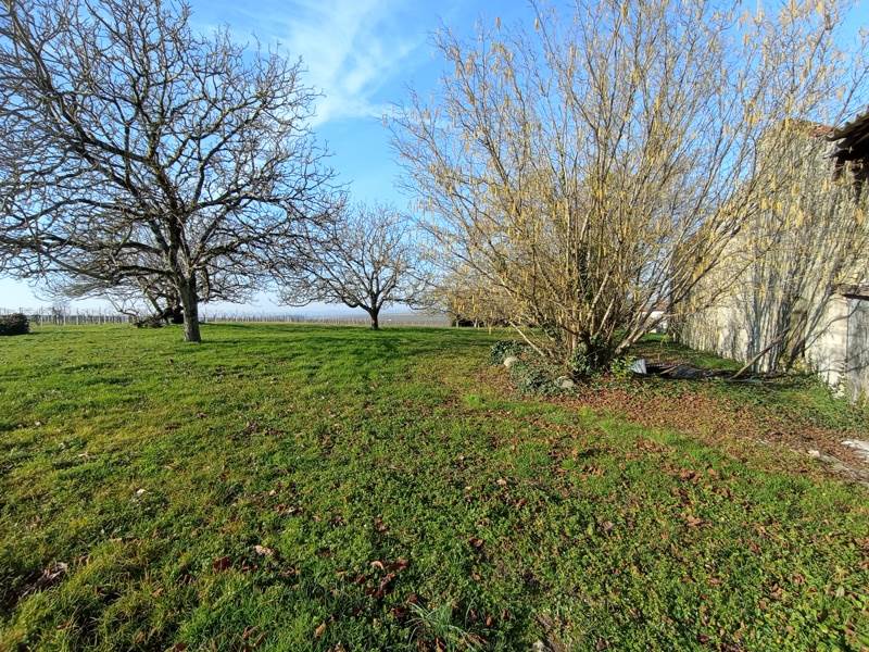 Vente Grange BRIE SOUS ARCHIAC - 1 pièce -270 m² - (17520)