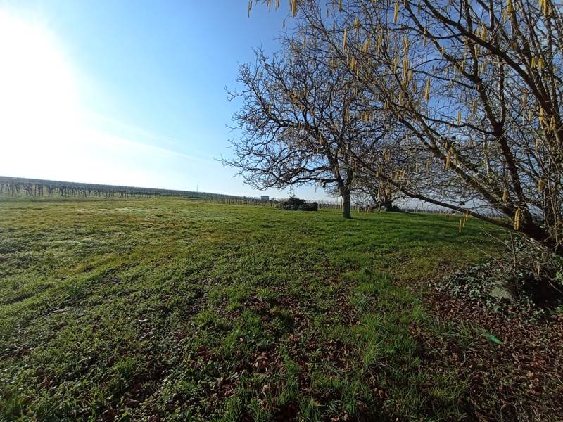 Vente Grange BRIE SOUS ARCHIAC - 1 pièce -270 m² - (17520)
