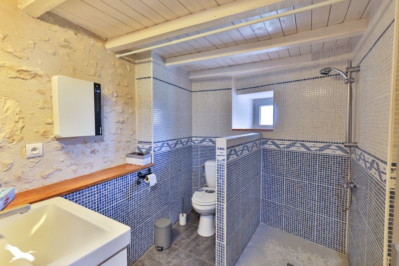 Vente Maison REAUX SUR TREFLE - 5 pièces -213 m² - (17500)