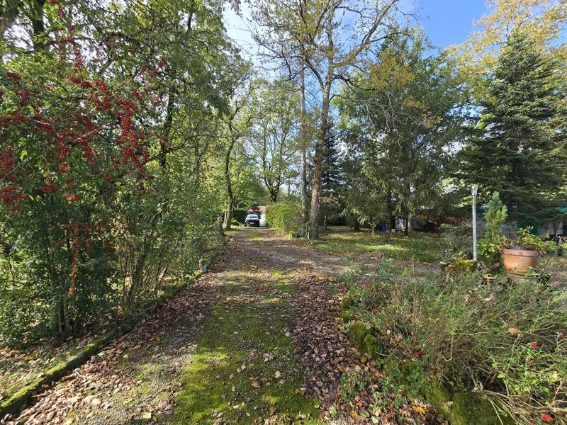 Vente Terrain ST GERMAIN DE LUSIGNAN - -2555 m² - (17500)