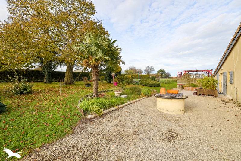 Vente Maison Fontaines-d'Ozillac - 5 pièces -141 m² - (17500)